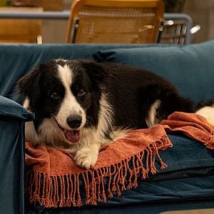 Foto Enloqueciendo Contigo