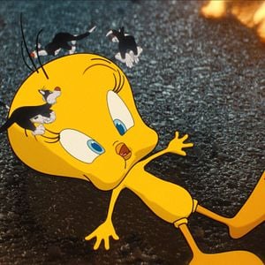 Foto Coyote vs. ACME