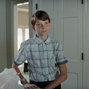 Foto Griffin In Summer