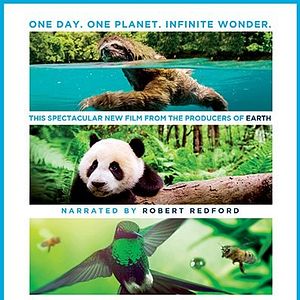 Foto Un día maravilloso en la Tierra