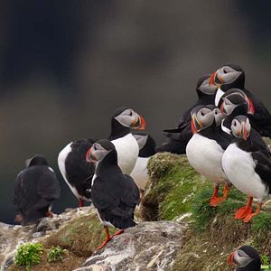 Foto Nuestros océanos