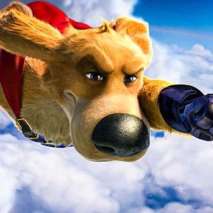 Foto Súper Canino