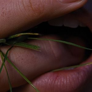 Foto Cumbres Borrascosas