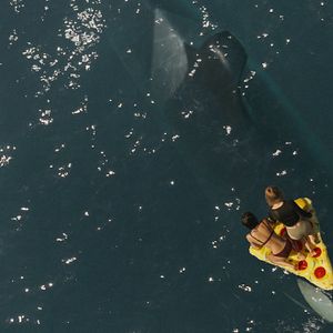 Foto Ballena Asesina