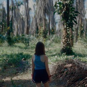 Foto Si no ardemos, cómo iluminar la noche