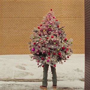 Foto Lenguaje Universal