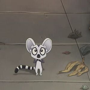 Foto Bem, un lémur en fuga