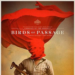 Foto Pájaros de Verano