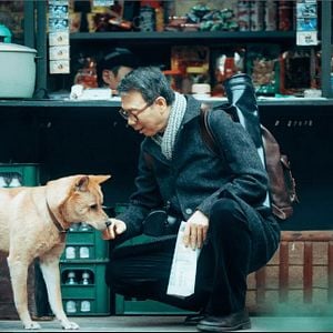 Foto Hachiko: Una historia verdadera