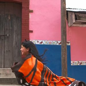 Foto Butterfly Journey