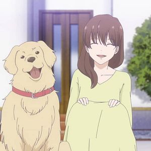 Foto Tadaima, Okaeri