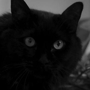 Foto No nos moverán