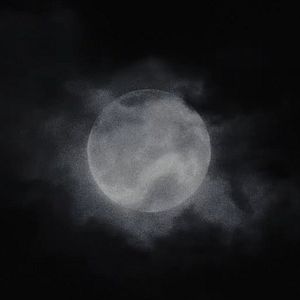 Foto Werwulf