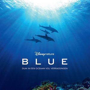 Foto Arrecife de delfines