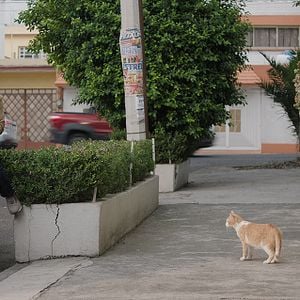 Foto Borrón y vida nueva