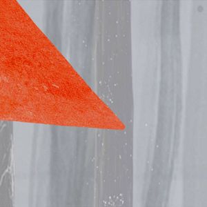 Foto The Little Bird and the Leaf