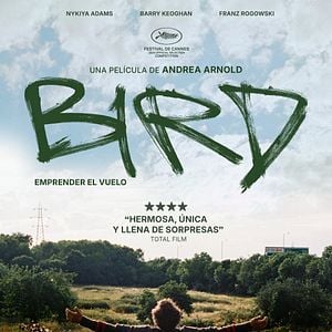 Foto BIRD: Emprender el vuelo