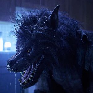 Foto La noche de los hombres lobo