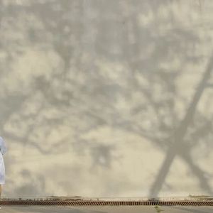 Foto What Happened to the Wolf?