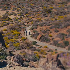 Foto Ahora la luz cae vertical
