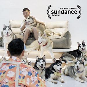 Foto The Dating Game