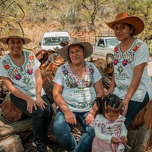 Foto Las hijas del maguey