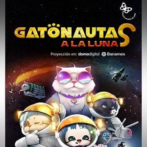 Foto Gatonautas a la Luna