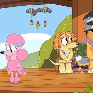 Foto Bluey en Cines: Momentos de Diversión con Amigos