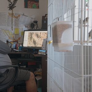 Foto ¿A Dónde Vamos, Coyote?