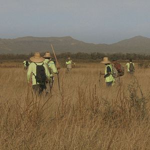 Foto ¿A Dónde Vamos, Coyote?