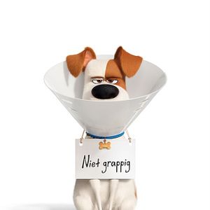 Foto La vida secreta de tus mascotas 2