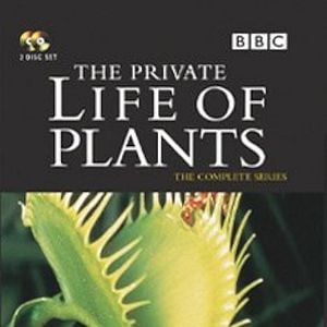Foto The Private Life of Plants