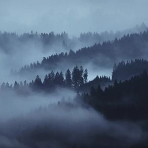 Foto Hunting Matthew Nichols