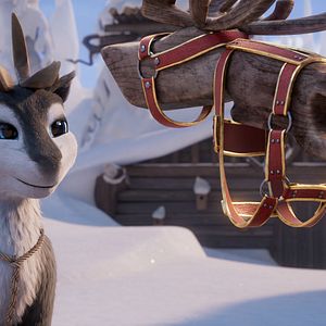 Foto Niko: La aventura de las narices frías