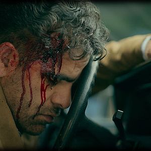 Foto Violentas mariposas