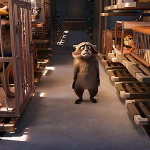 Foto Mascotas al rescate