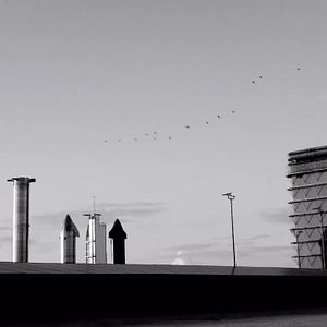 Foto Shifting Baselines