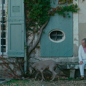 Foto Un hombre libre