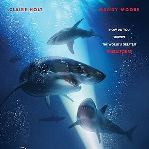 Foto Terror a 47 metros