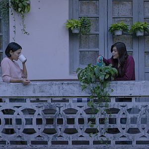 Foto What Happened to the Wolf?