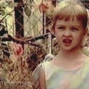 Foto Let the Canary Sing