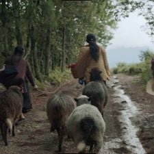 Foto Formas de atravesar un territorio