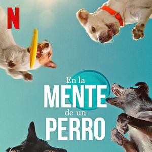 Foto En la mente de un perro