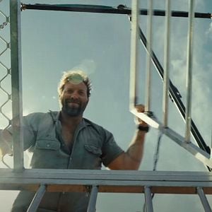 Foto  Animales peligrosos