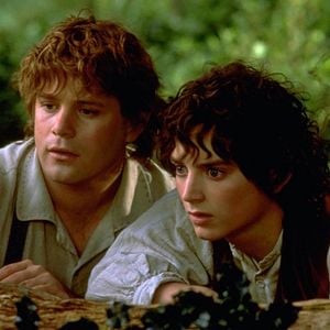 Foto El Señor De Los Anillos: La Comunidad Del Anillo (Versión Extendida) 2026