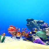 Foto El Arrecife Encantado: Kaluoka'hina