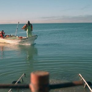 Foto El llanto de las tortugas