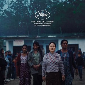 Foto Elephants in the Fog