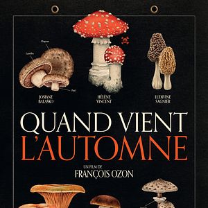 Foto Cuando llega el otoño