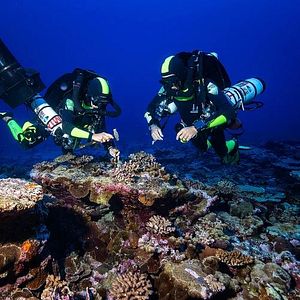 Foto Deep Hope, le dernier refuge